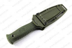 3439.jpg