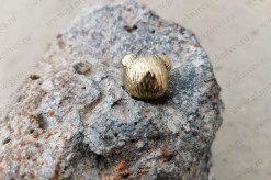 263727