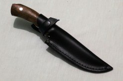 529