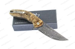 AYVA1
