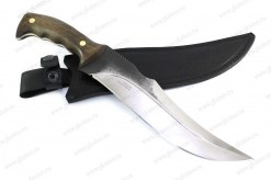 Alligator_x12mf(2)