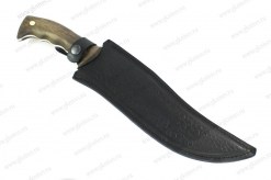 Alligator_x12mf(3)