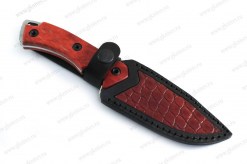 Barbos_red3
