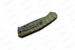 Boker-01SC072-Iguanodon-1