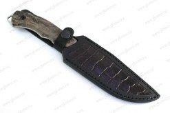 Scorpio_brown3