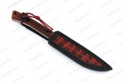Sokol_red3