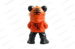TIGOR1