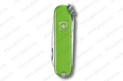 Victorinox-0.6223.jpg-1