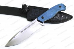 Volk_blue